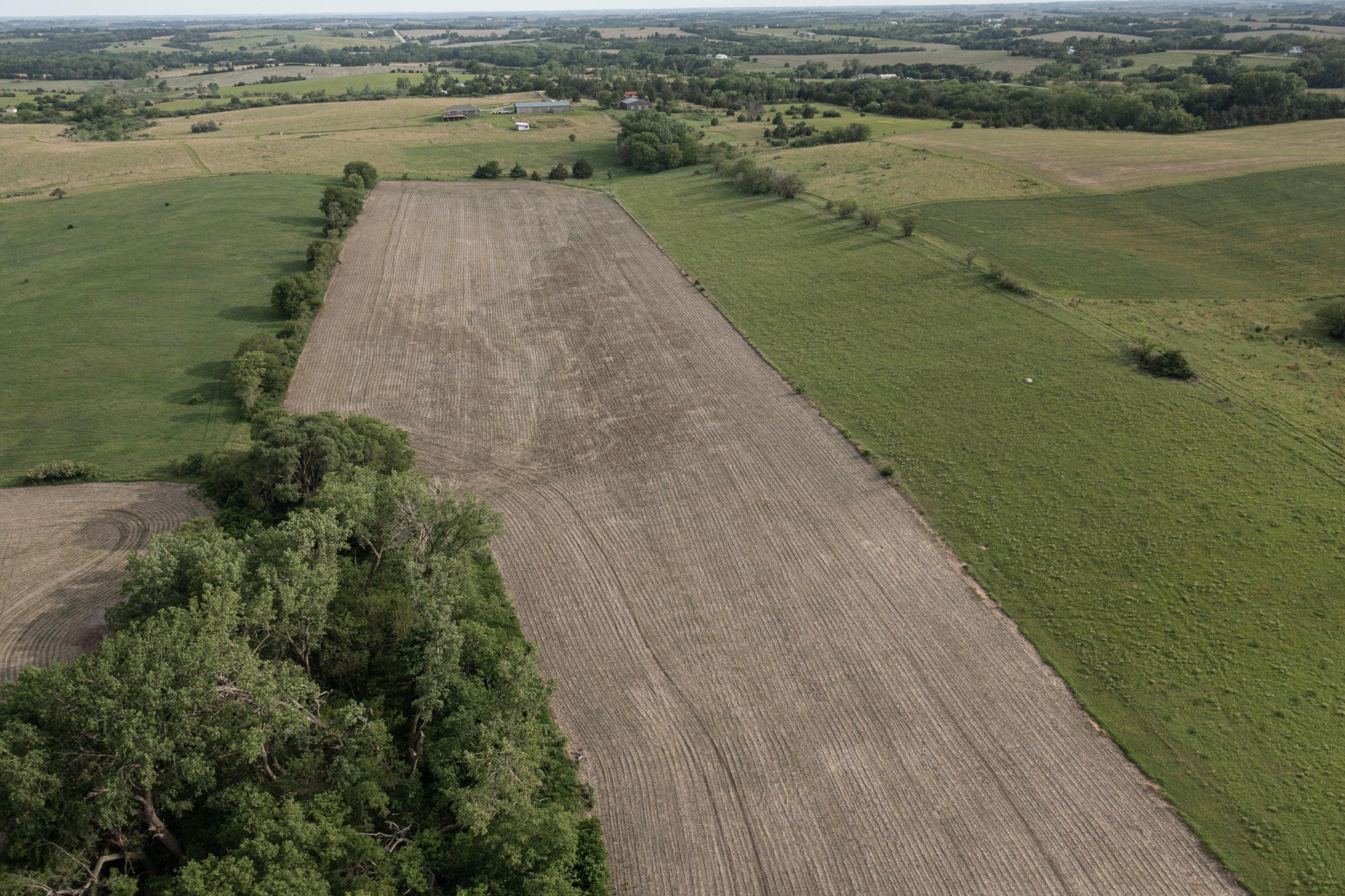 Aerial 4