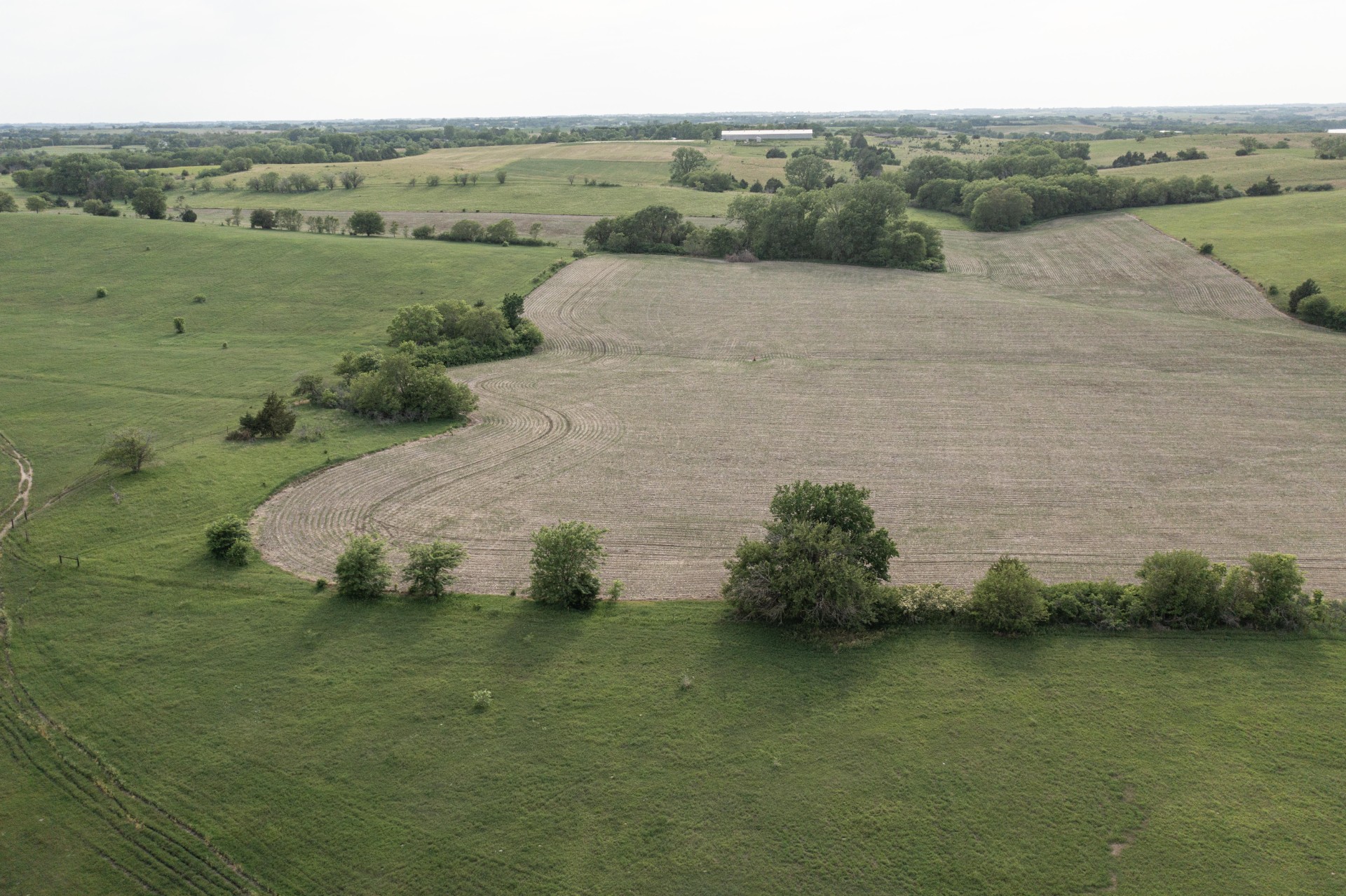 Aerial 5