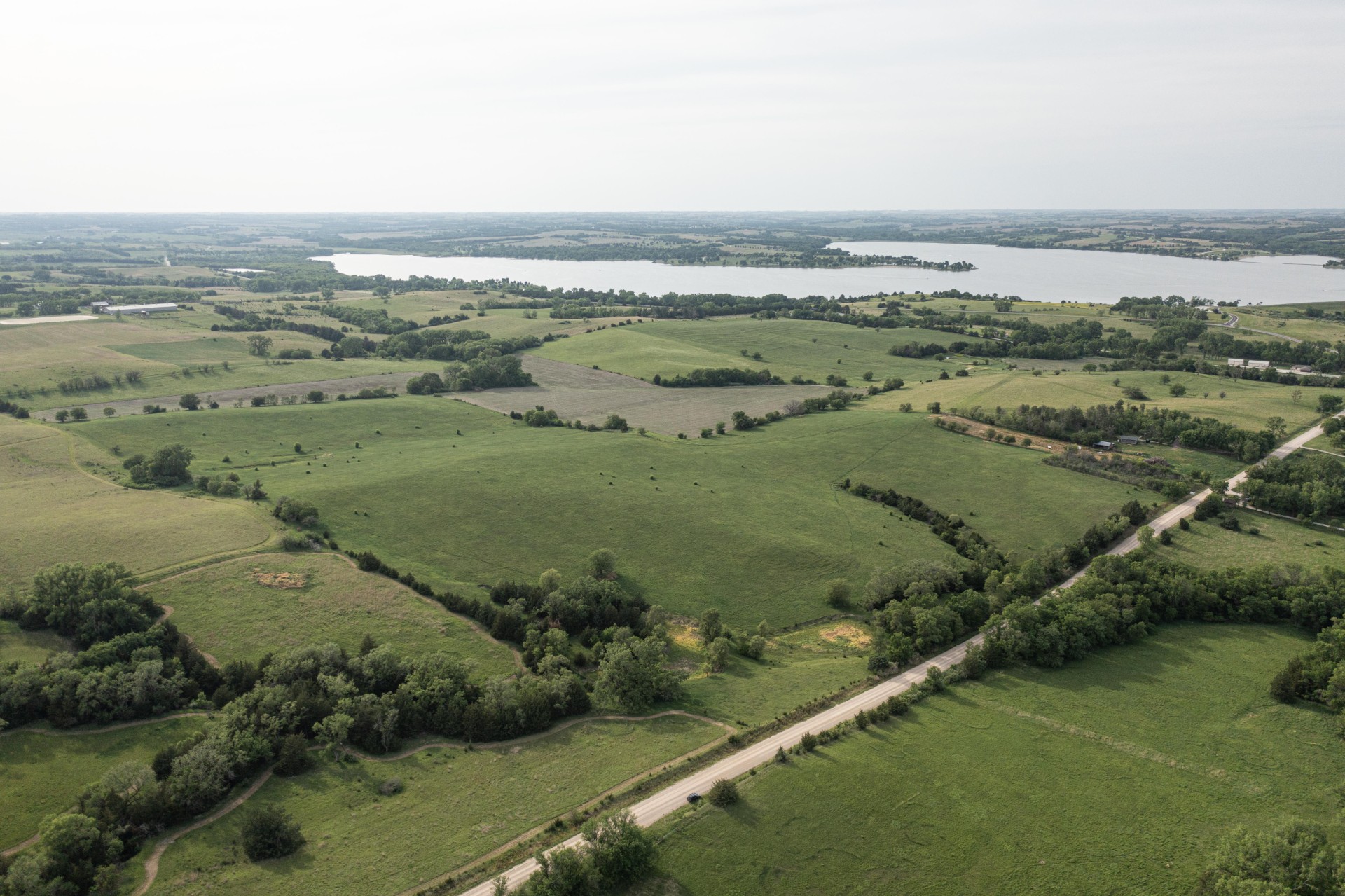 Branched Oak SE Corner