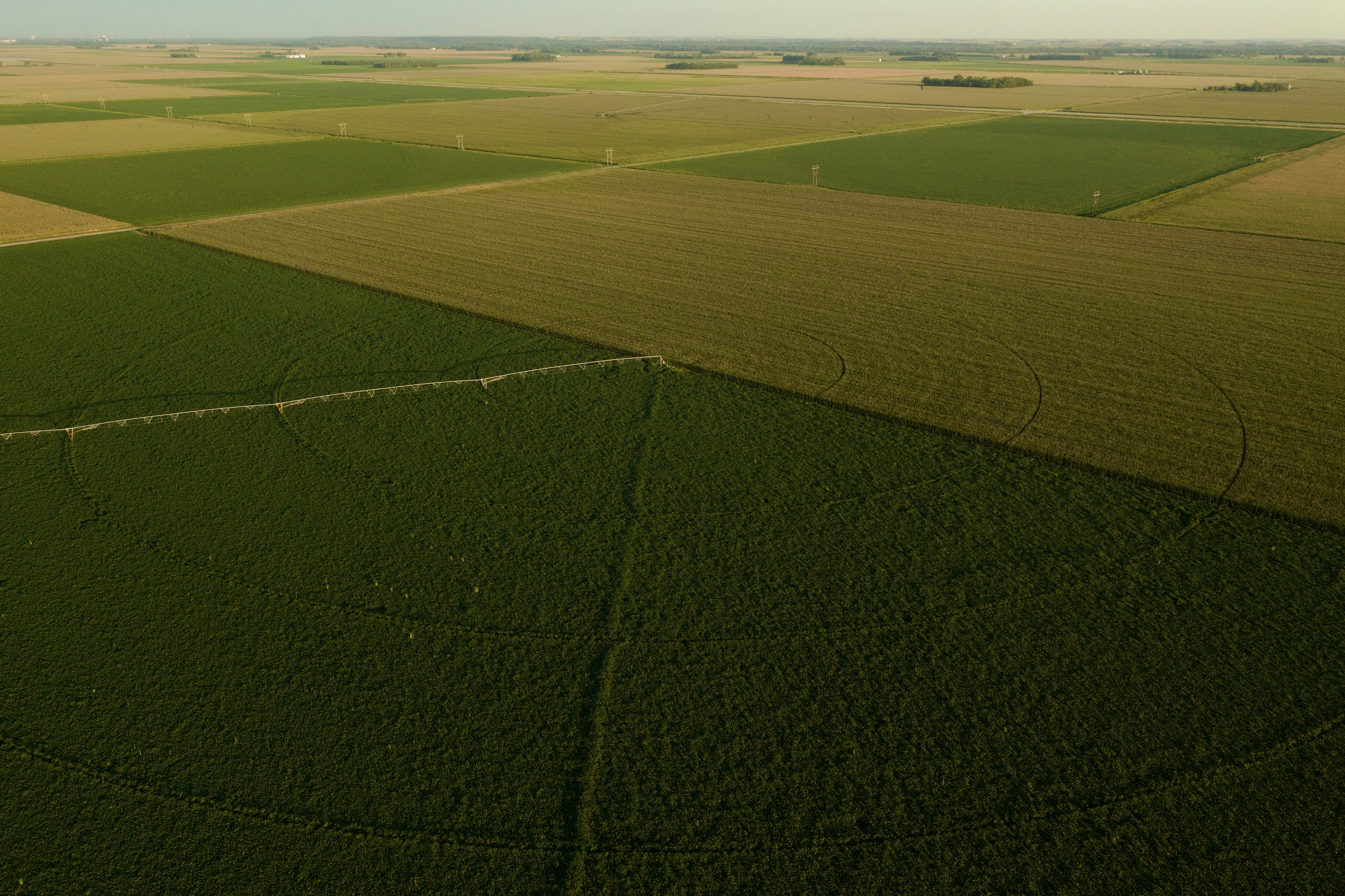 Aerial 3